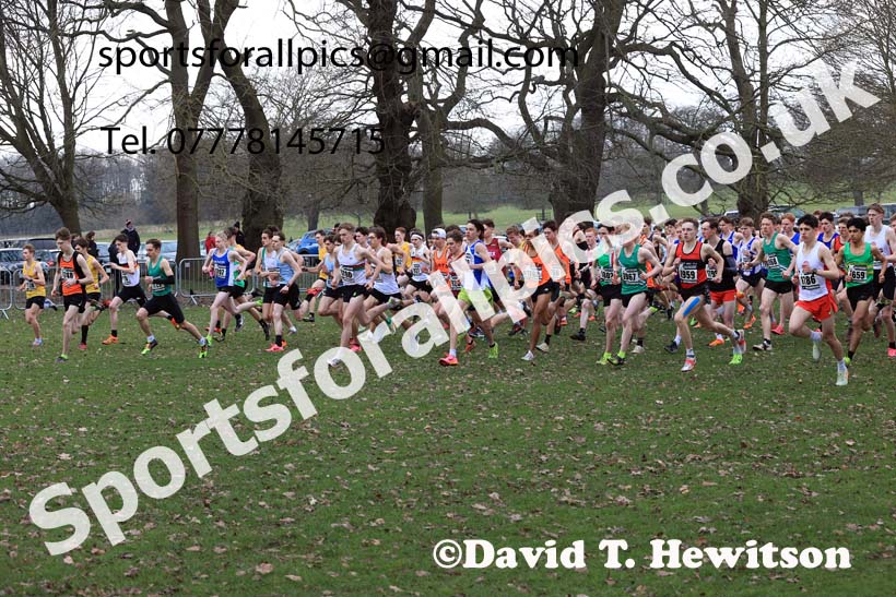 Mens Under-17s, 2024 CAU Inter Counties Cross Country Champs., Wollaton Park, Nottingham. Photo: David T. Hewitson/Sports for All Pics